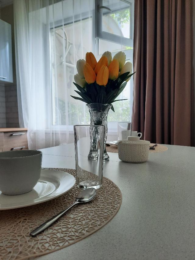 Apartment (50 m²), 1 Schlafzimmer und 1 eigene Badezimmer in Uralsk, Apartment – Uralsk (Foto 4)