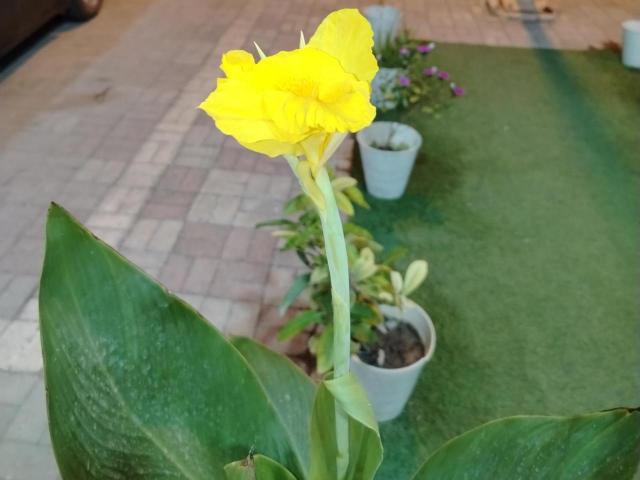 قولد شير 2, Apartament – Salalah (zdjęcie 4)