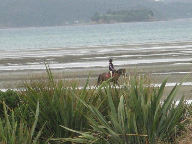 21 Hampton, Guesthouse/bed and breakfast – Warkworth (photo 5)