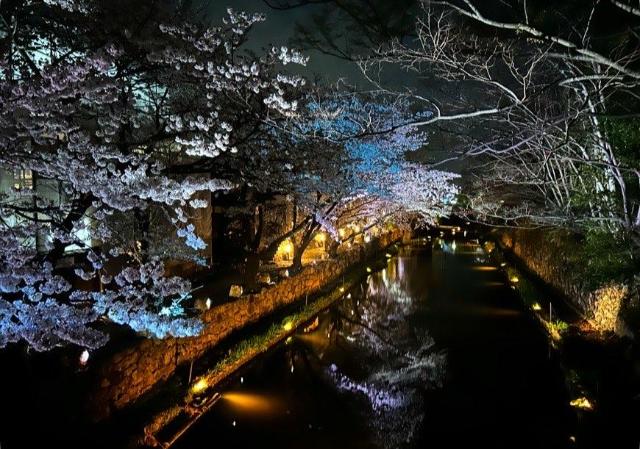 ゲストハウス桜２nd, Appartement – Omihachiman (foto 3)