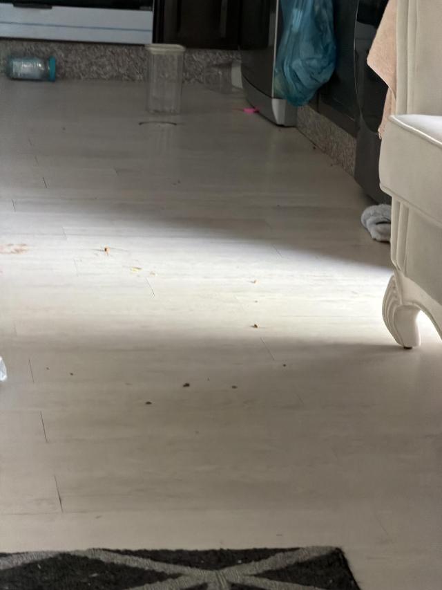 Apartament ( m²) w okolicy Al Swaifyeh z 1 sypialnią/ami i 3 łazienką/ami, Apartament – Amman (zdjęcie 3)