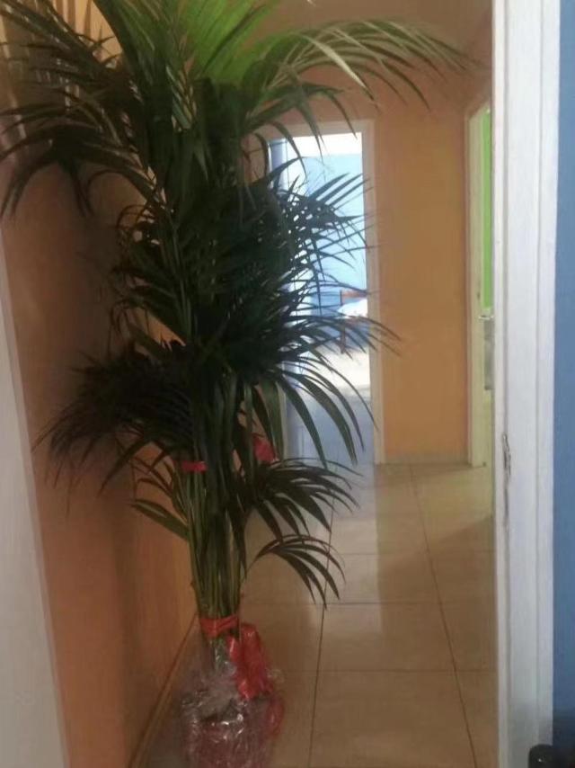 Appartamento di 15 m² con 2 camera(e) e 1 bagno(i) privato(i) in zona Usera, Appartamento – Madrid (foto 4)