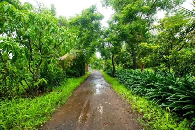 Anandi Gopal Villa, Villa – Alibaug (photo 4)
