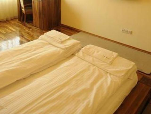 Pension Anthimos, Pensione e B&B – Baile Felix (foto 2)