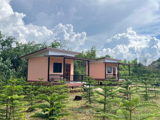 Casa di 26 m² con 1 camera(e) e 1 bagno(i) privato(i) in zona Centro, Villa e casa – Khao Kho (foto 2)