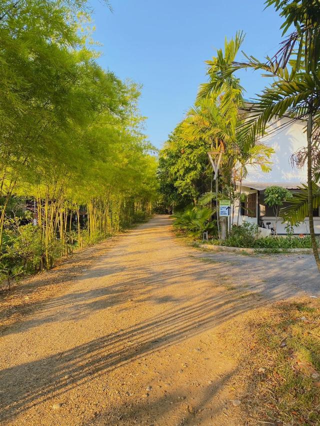 บ้านสวนภูรจิตร Baansuanphurajit, Villa e casa – Chiang Mai (foto 3)