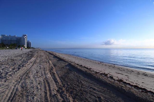 Beach Front Studio (Pet-friendly), Apartment – Miami Beach (FL) (Foto 3)