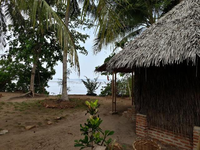 Bunga Jabe, Entire House – Karimunjawa (photo 2)