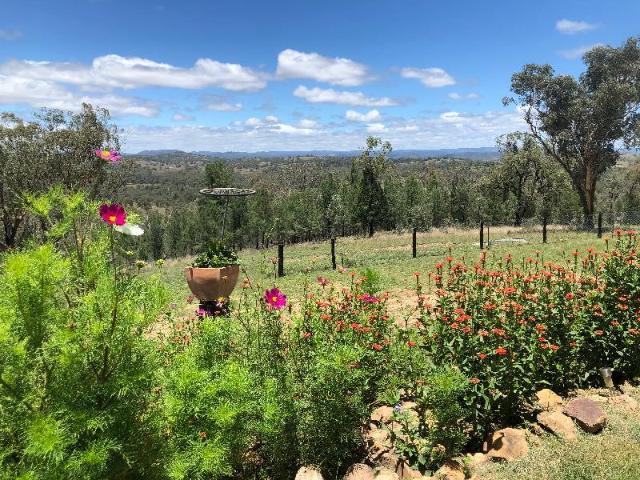 Bush  getaway – Entire bungalow, Tenterfield