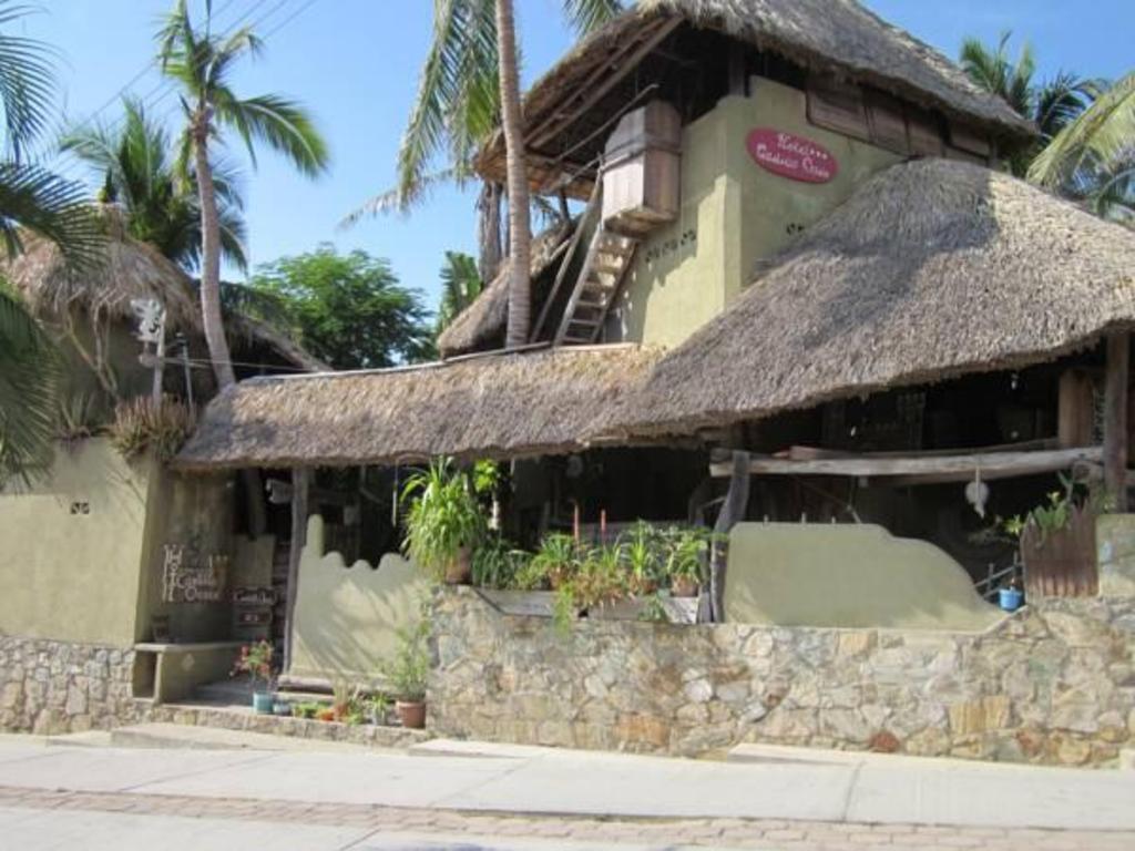 Castillo Oasis, Guesthouse/bed and breakfast – Zipolite (photo 1)