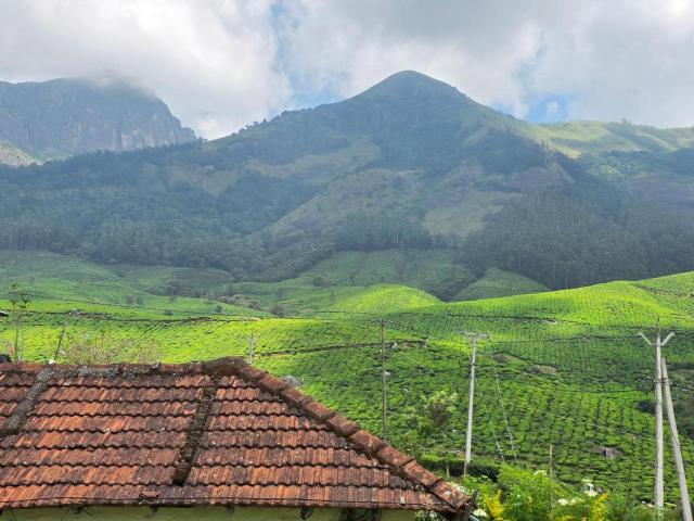 Cloud 7000, Entire House – Munnar (photo 3)