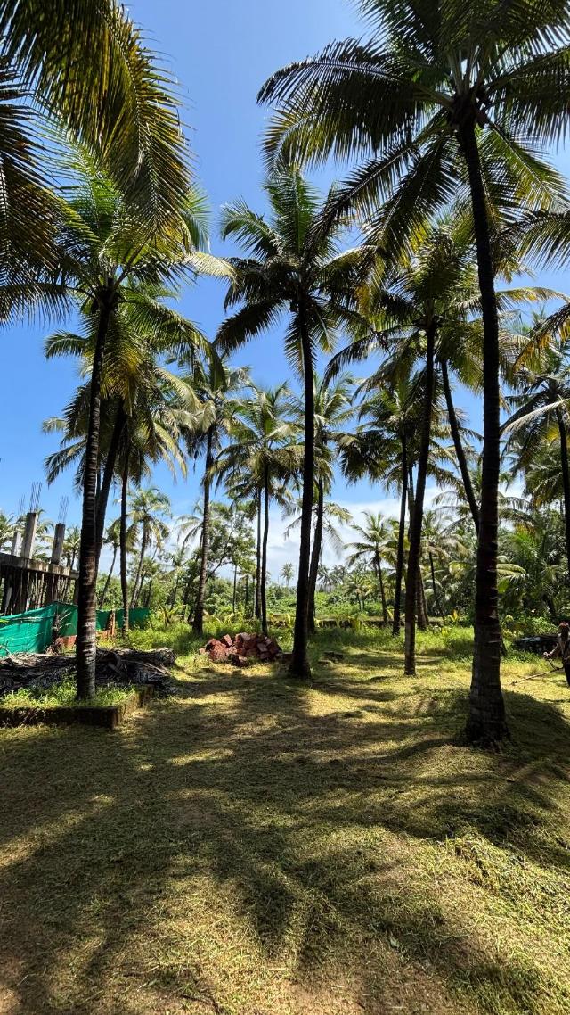 ( m²), 1 Schlafzimmer und 1 eigene Badezimmer in Devbag, Pension & B&B – Malvan (Foto 3)