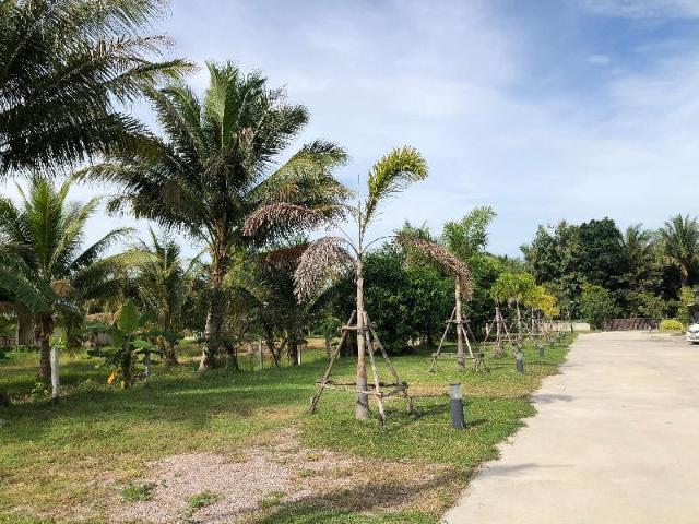 CoCo Tree Resort, Resort – Prachuap Khiri Khan (Foto 4)
