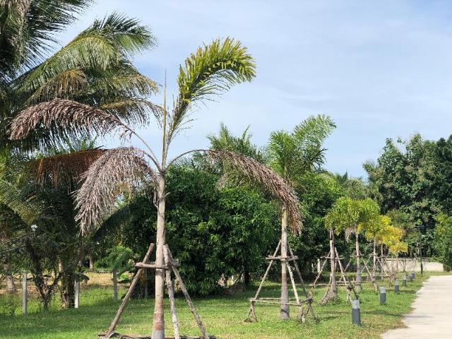 CoCo Tree Resort, Resort – Prachuap Khiri Khan (Foto 5)