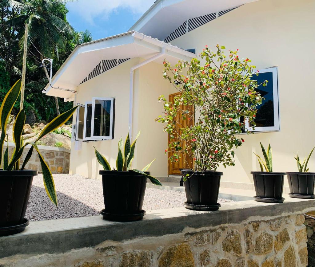 Coco Vanille Chalets, Pensjonat i B&B – Seszele (zdjęcie 1)