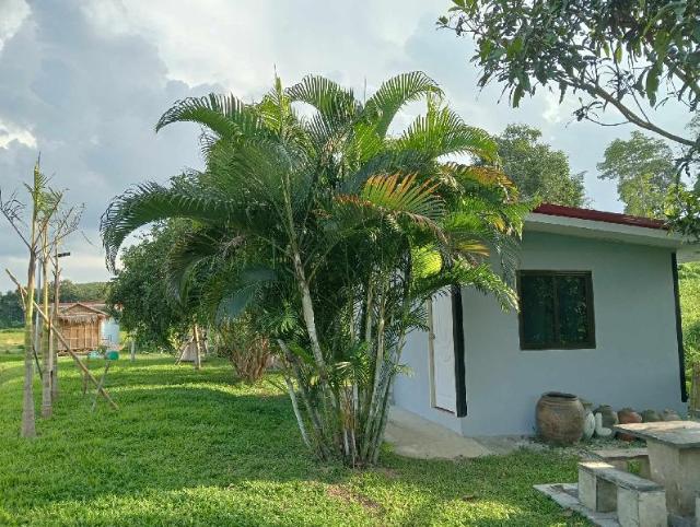 coconuts – Entire bungalow, Chiang Rai