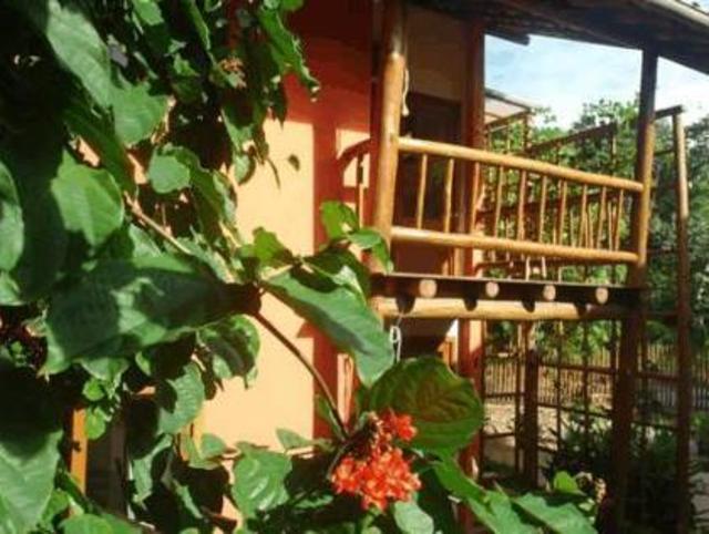 Concha Tropical Flat, Appartement – Itacare (photo 2)