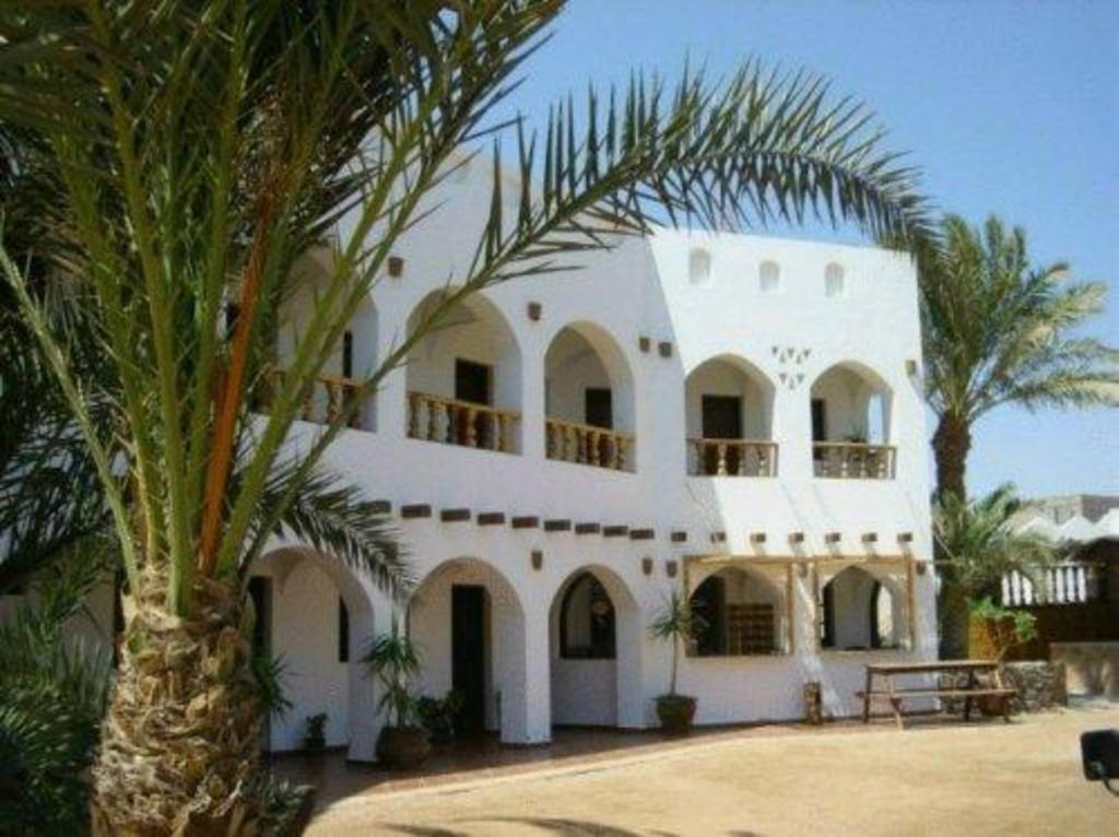 Dahab Divers, Ostello – Dahab (foto 1)