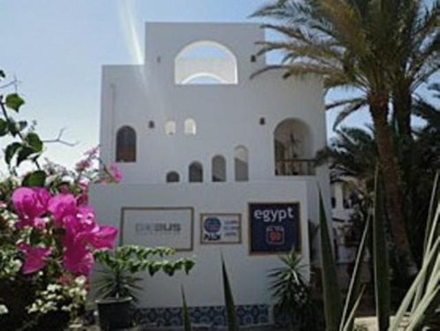 Dahab Divers, Ostello – Dahab (foto 3)