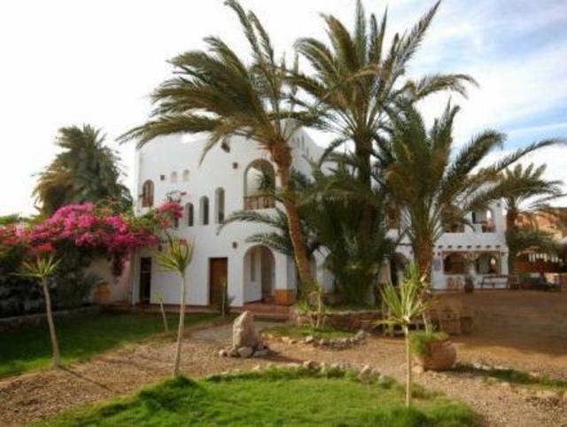 Dahab Divers, Ostello – Dahab (foto 4)