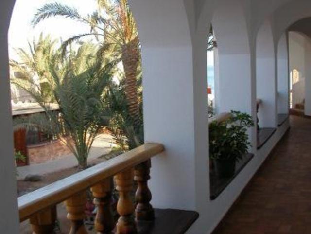 Dahab Divers, Ostello – Dahab (foto 5)