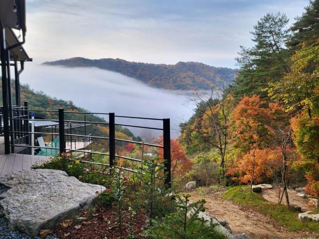 Daon Forest Pension – Pension, Gangwon-do