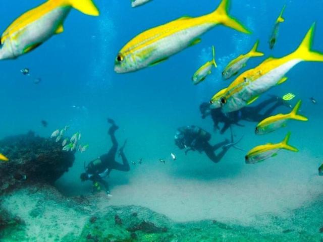 DEVOCEAN Lodge – Pensão e B&B, Ponta do Ouro