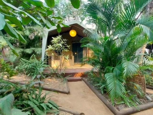 DEVOCEAN Lodge, Pensión y B&B – Ponta do Ouro (foto 2)