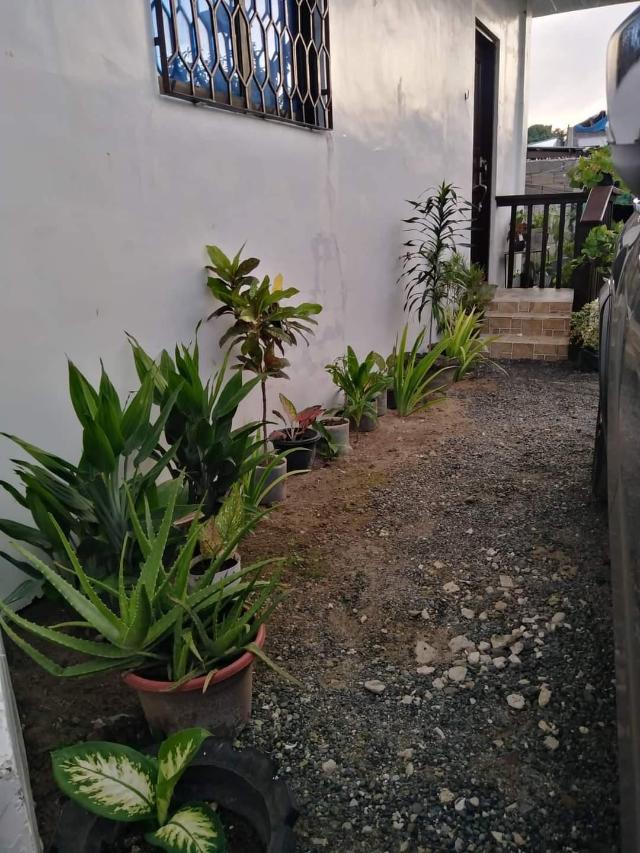 Haus (130 m²), 3 Schlafzimmer und 1 eigene Badezimmer in General Luna, Villa & Haus – Siargao Island (Foto 5)