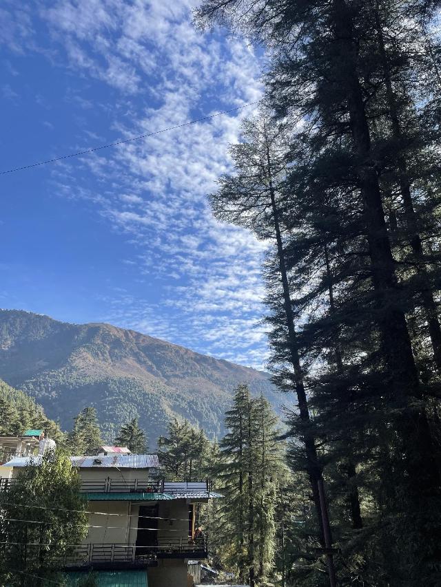 EEVOLVE, Hostel – Dharamshala (photo 4)