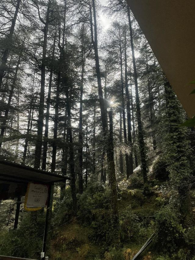 EEVOLVE, Hostel – Dharamshala (photo 5)