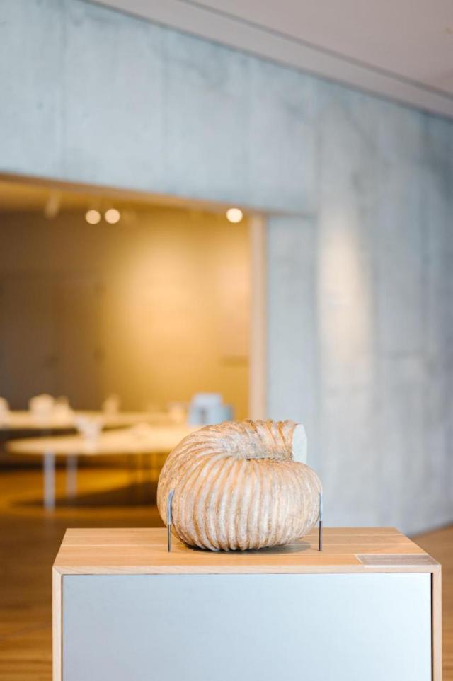 Ento, Hôtel – Oki Islands (photo 4)
