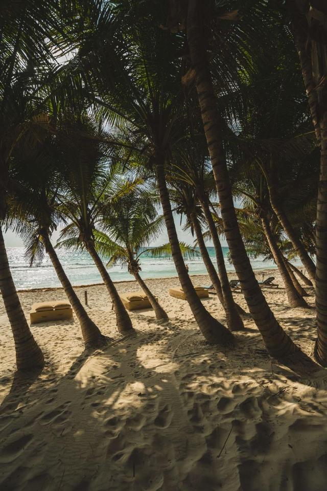 Ether Tulum – Apartament, Tulum