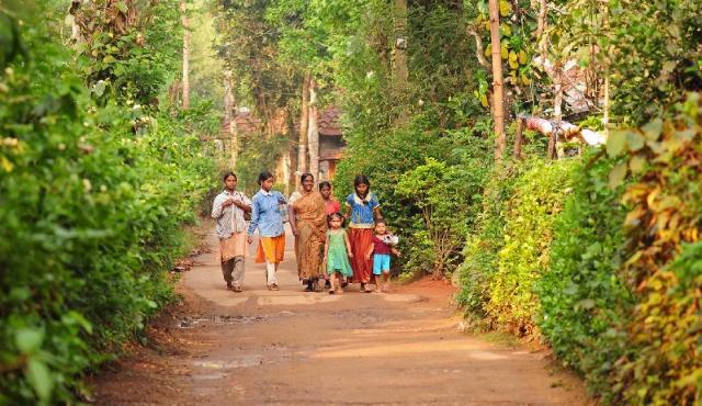 Evolve Back Coorg, Resort – Coorg (photo 3)