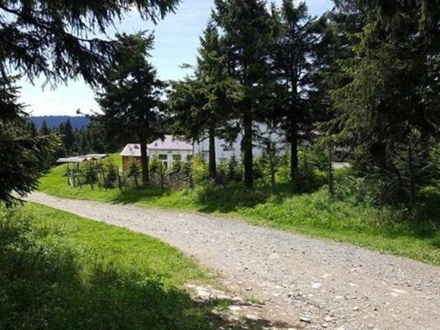 Fichtelberghütte, Maison d’hôtes & B&B – Oberwiesenthal (photo 5)