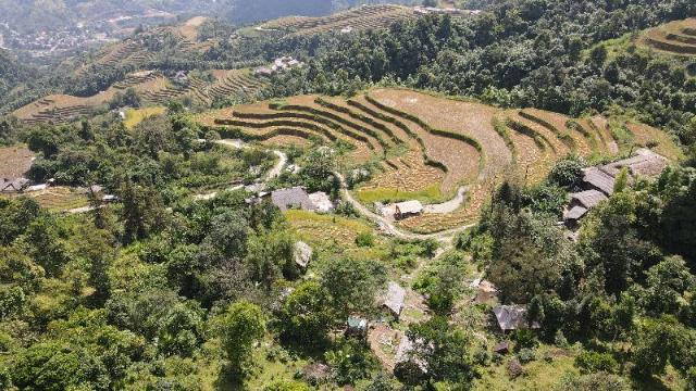 Fincha ecolodge – Apartment/Flat, Nam Pi
