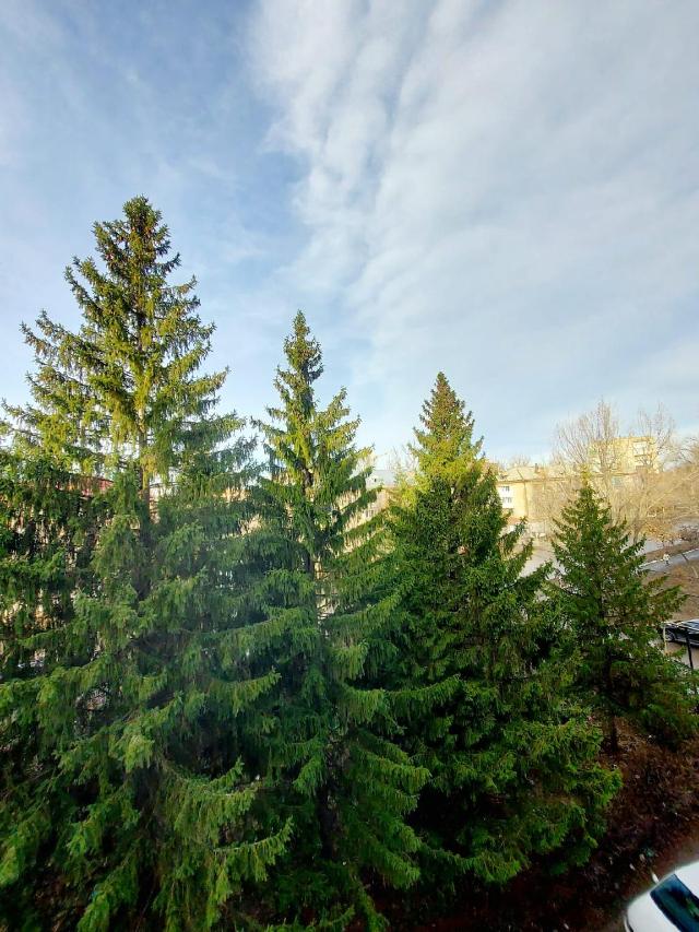 Flat с видом на ели, Apartment/Flat – Uralsk (photo 5)