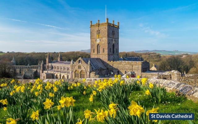 Halfways, Entire House – St. Davids (photo 4)