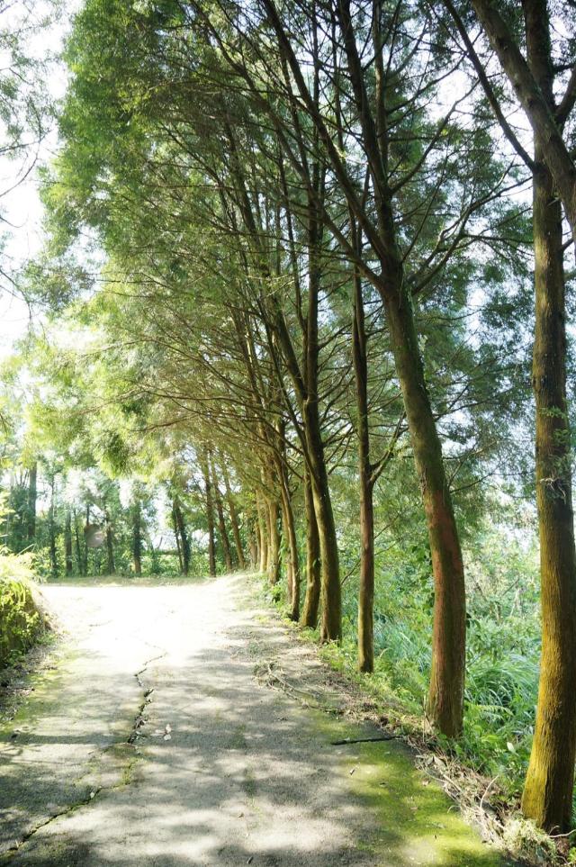 Hillside Plot Inn, Pension & B&B – Miaoli (foto 2)