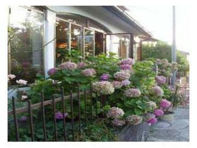 Hotel Aurora Duino, Hotel – Trieste (photo 3)