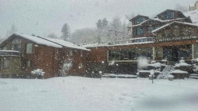 Hotel Pine Spring Pahalgam – Hotel, Pahalgam