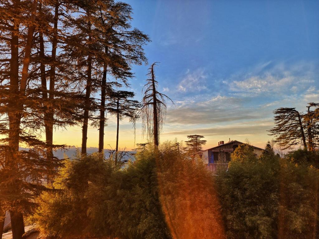 Hotel Pine View, Hotel – Shimla (photo 1)