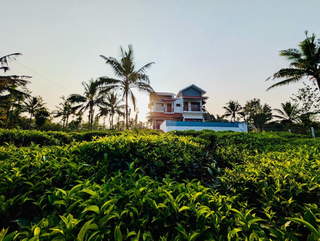 Howling Wolf, Entire House – Wayanad (photo 1)