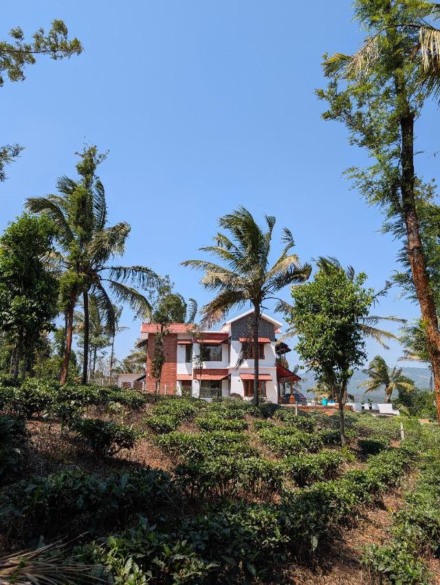Howling Wolf, Entire House – Wayanad (photo 4)