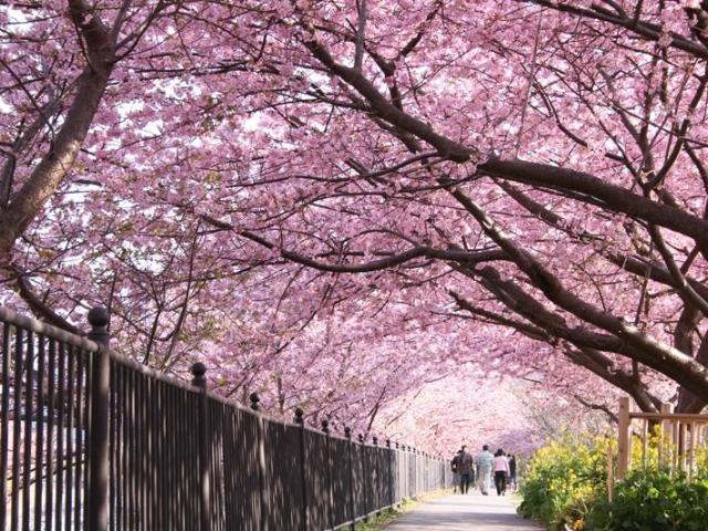 Imaiso, Resort – Izu (foto 3)