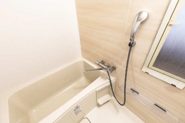 KAI Rycom, Apartment/Flat – Okinawa Main island (photo 4)