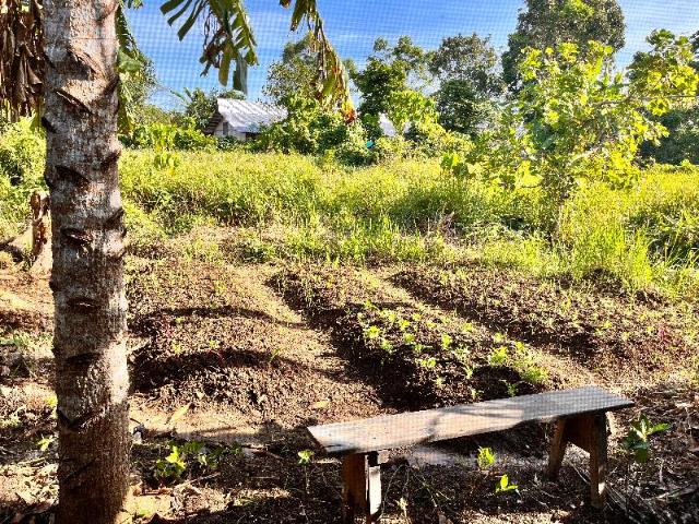 la casa aitor – Apartment/Flat, Palawan