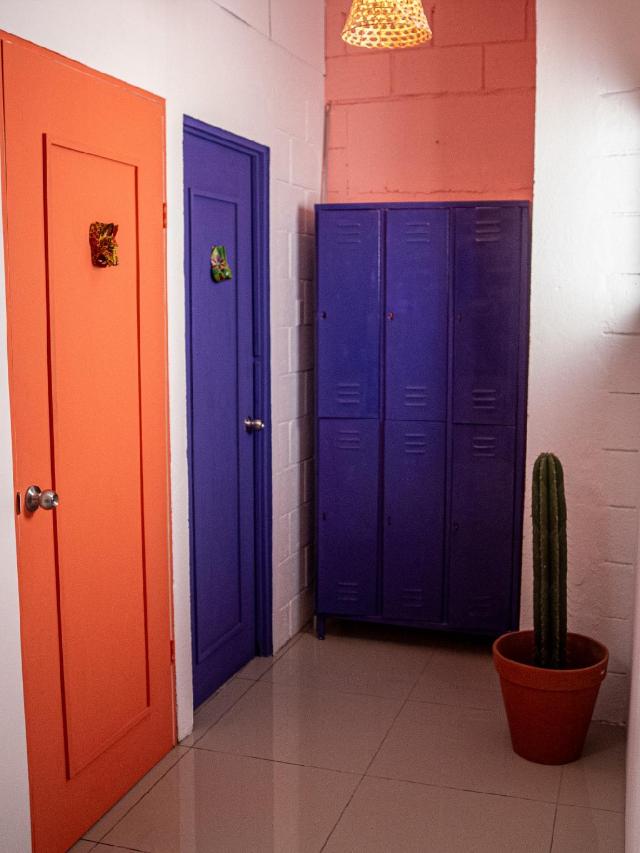 Lolas, Auberge de jeunesse – San José (photo 3)