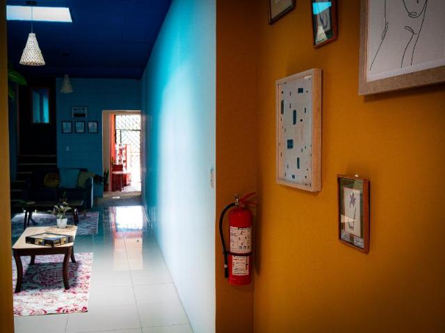Lolas, Auberge de jeunesse – San José (photo 5)