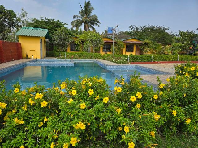 Mango Leaf Resort, ホテル – アリバグ (写真3)